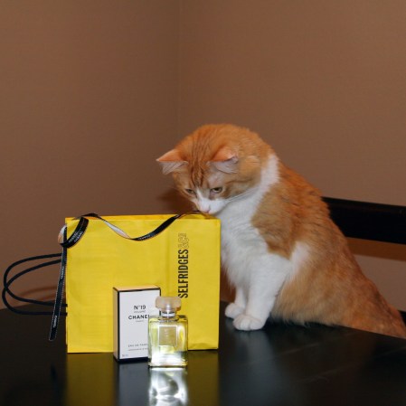 Rusty and No 19 Poudre by Chanel