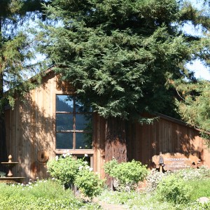 Sequoia Grove winery testing room