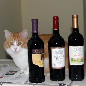 Rusty and Wines from our clubs Rusty and bottles of wine