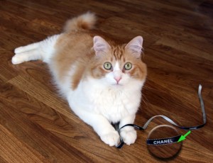 Rusty And Chanel Ribbon