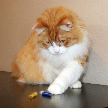 Rusty Testing Rusty Testing