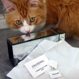 Rusty and Broken Vials of Dior's Grand Ball