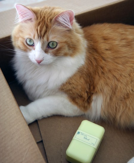 Linden Soap And Rusty