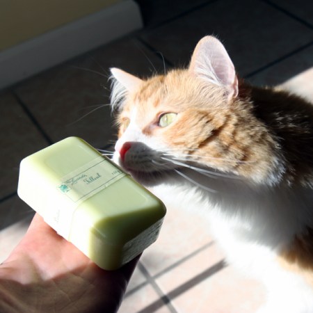 Linden Soap And Rusty