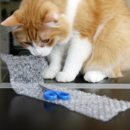 Decanting: Rusty and Bubble Wrap