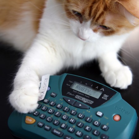 Decanting: Rusty and Labeling