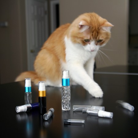 Decanting: Rusty and Vials