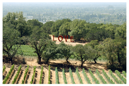 From Sonoma With Love From Sonoma With Love