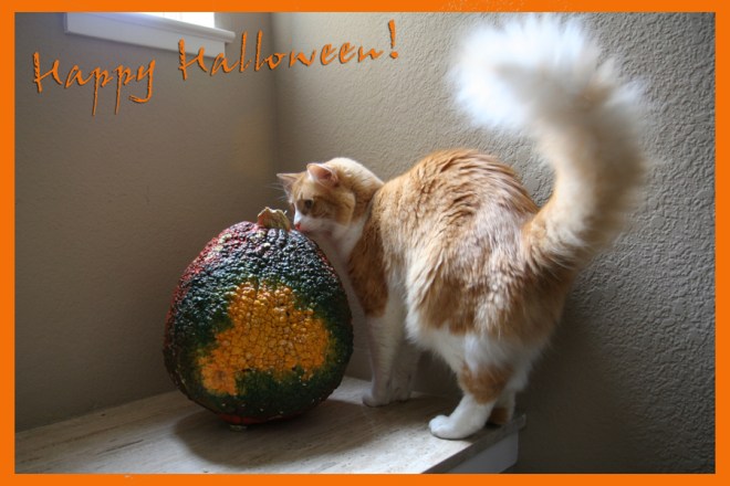 Halloween: Rusty's planning a world domination