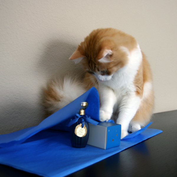 Rusty and Annick Goutal Nuit Etoilee