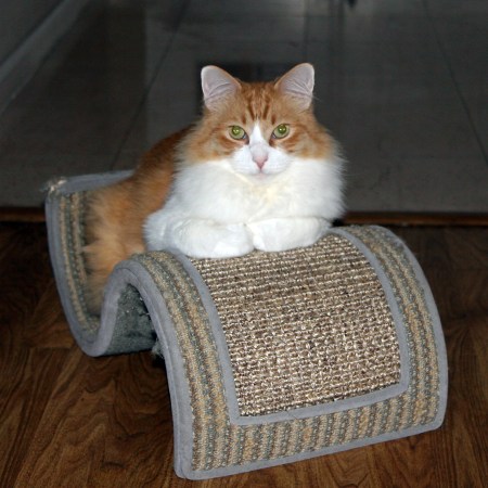 Rusty December 2012 Rusty December 2012