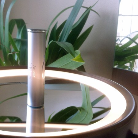 Jul et Mad Amour De Palazzo