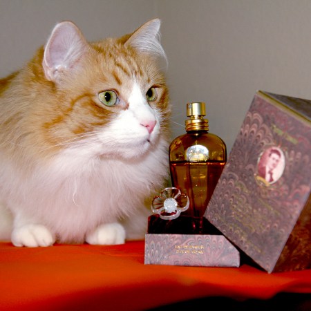 Rusty And Tiempe Passate