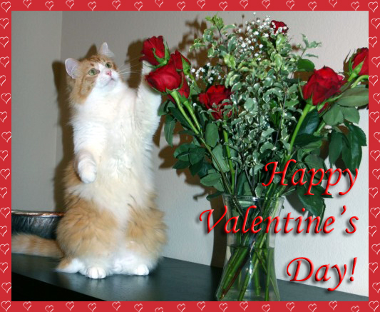 Rusty And Roses Valentines Day