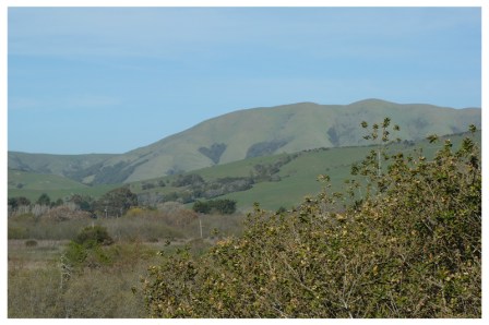 From Point Reyes With Love From Point Reyes With Love