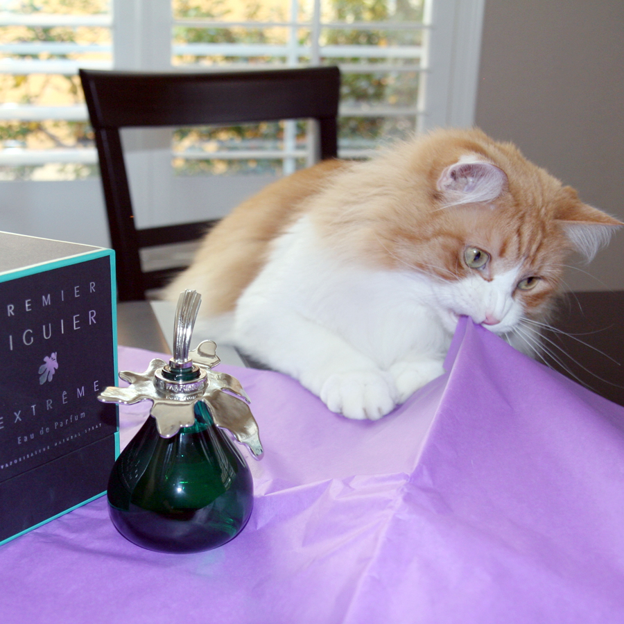 Rusty And L'Artisan Premier Figuier