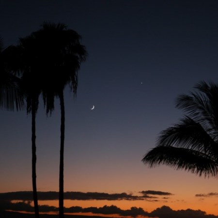 Disappearing Moon on Maui Disappearing Moon on Maui