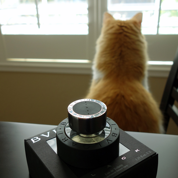 Rusty And Bvlgari Black