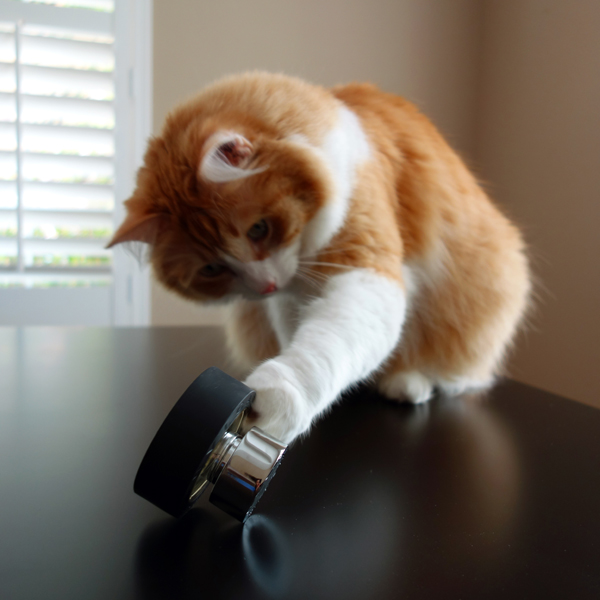 Rusty And Bvlgari Black