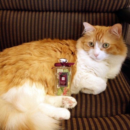 Rusty and Jo Malone White Lilac & Rhubarb Rusty and Jo Malone White Lilac & Rhubarb