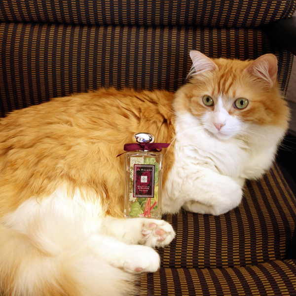 Rusty and Jo Malone White Lilac & Rhubarb