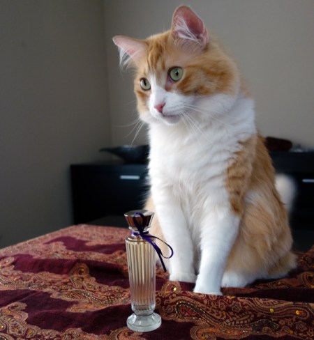 Rusty and Bombay Bling