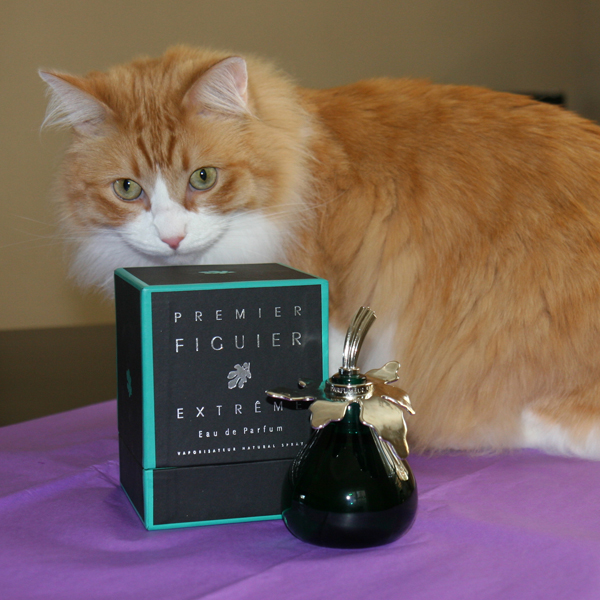 Rusty and L'Artisan Premier Figuier