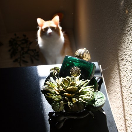 Rusty and Amouage Memoir