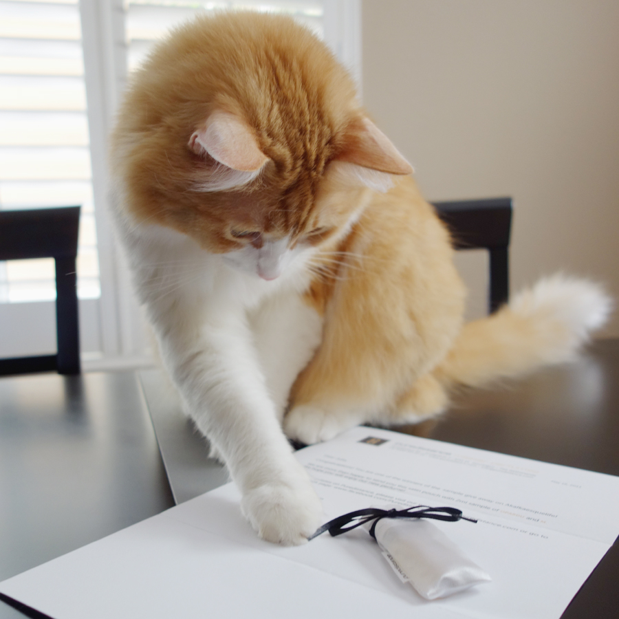 Rusty and Puredistance Bag