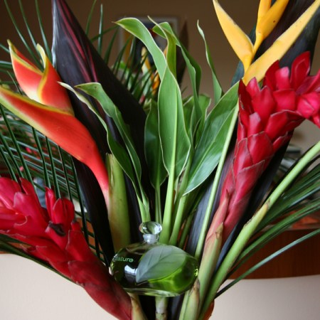 Yves Rocher Nature Yves Rocher Nature