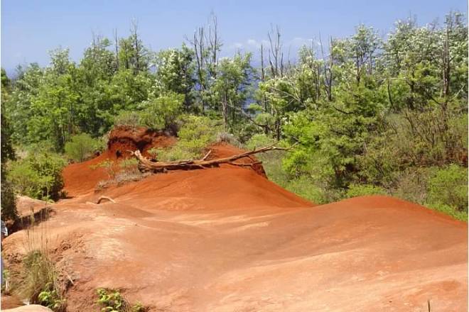 Bad Internet Connection Bad Internet Connection