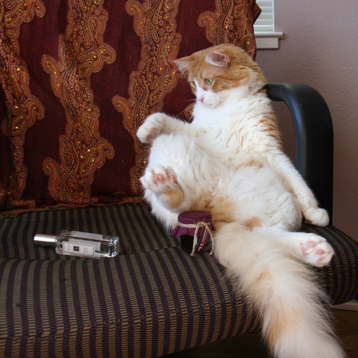 Rusty And Jo Malone Blackberry & Bay 3