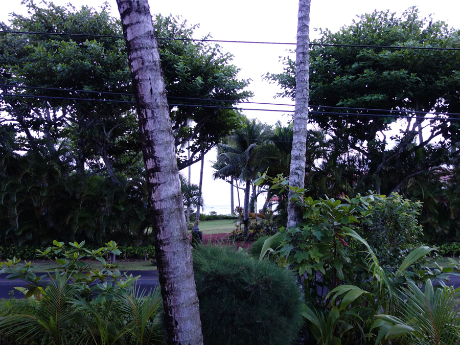 Kauai: Balcony View
