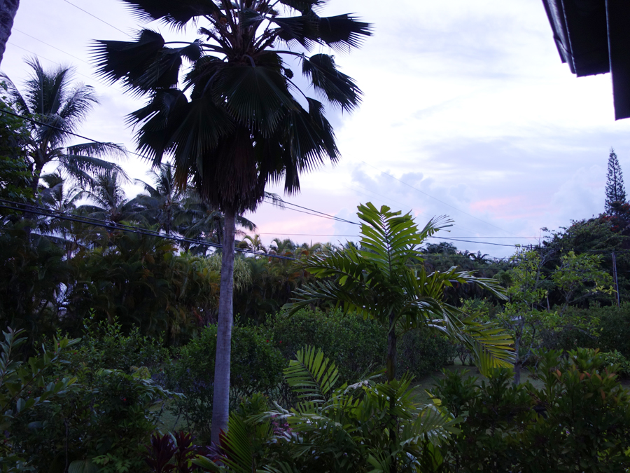 Kauai: Dawn fron the balcony