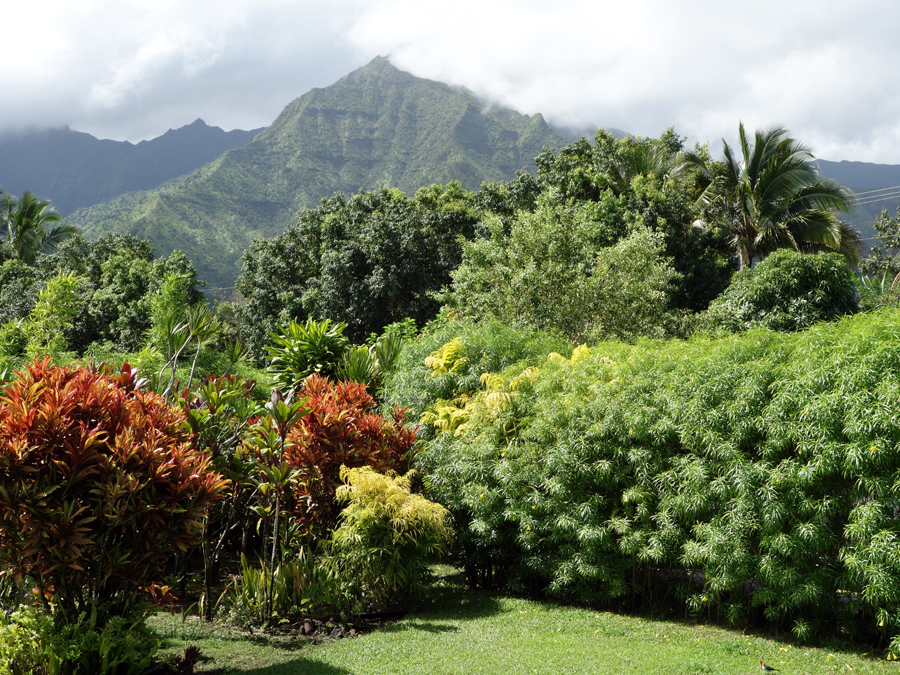 Kauai: mountain view