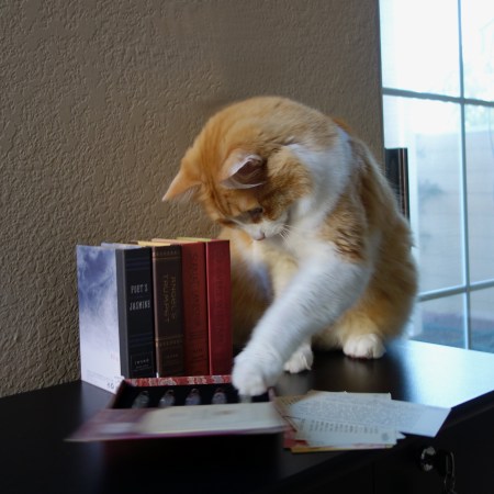 Rusty andI neke Scent Library