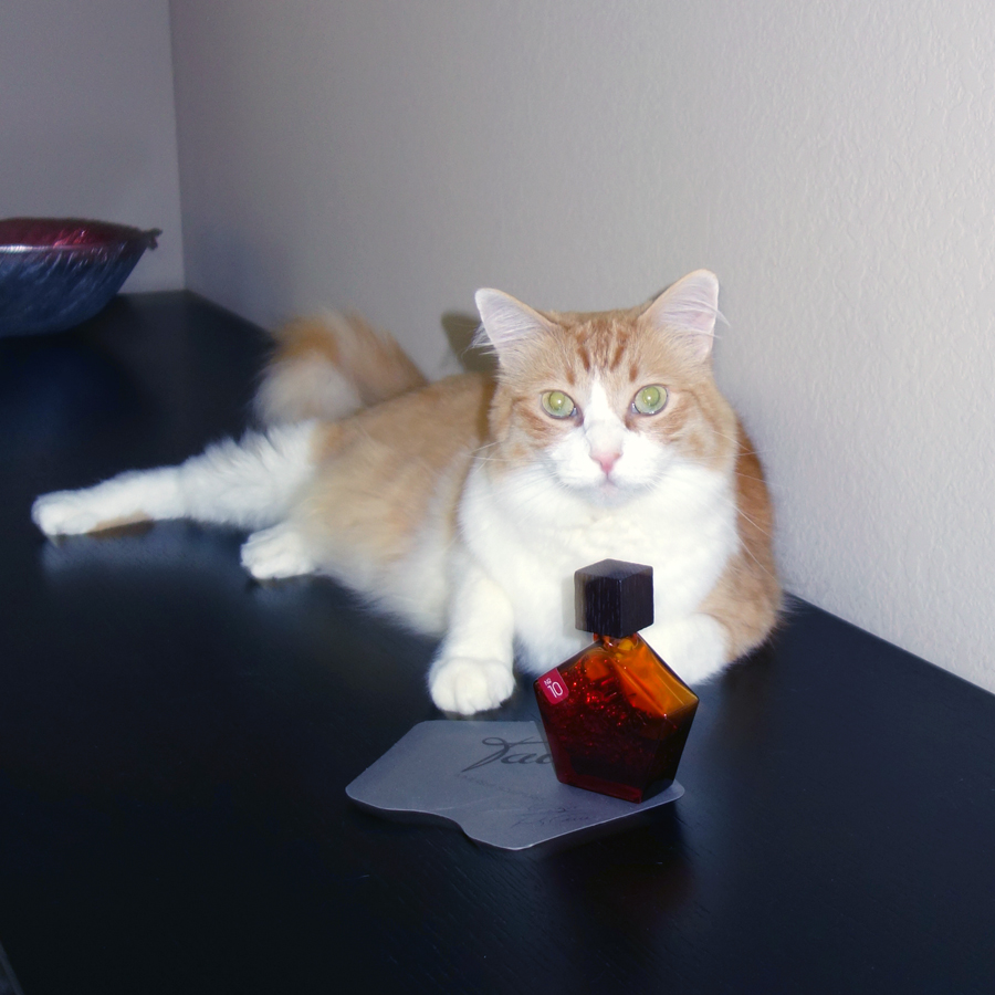 Rusty and Une Rose Vermeire