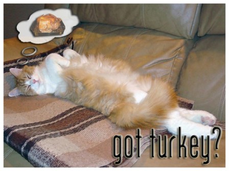 Happy Thankgiving 2013