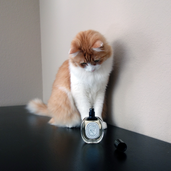 Rusty and Diptyque Volutes