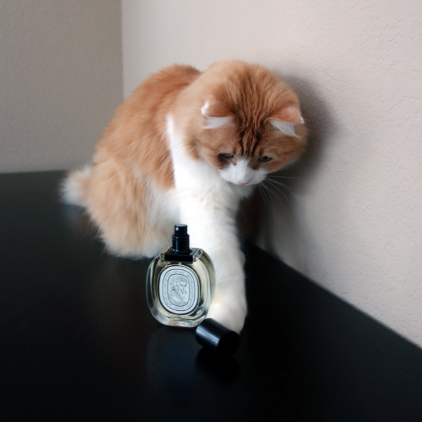 Rusty and Diptyque Volutes