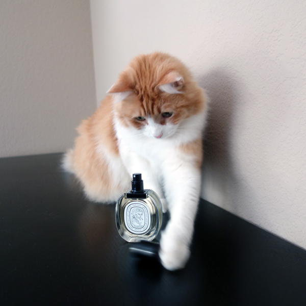 Rusty and Diptyque Volutes