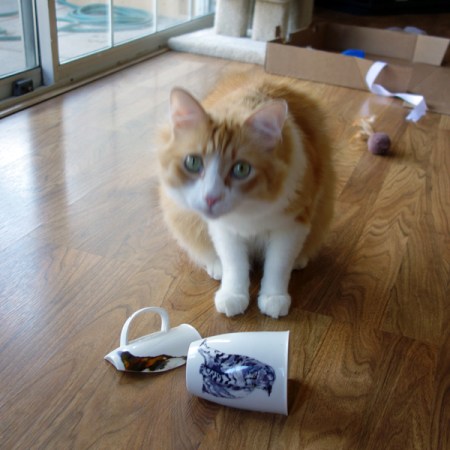 Rusty and the Broken Mug Rusty and the Broken Mug