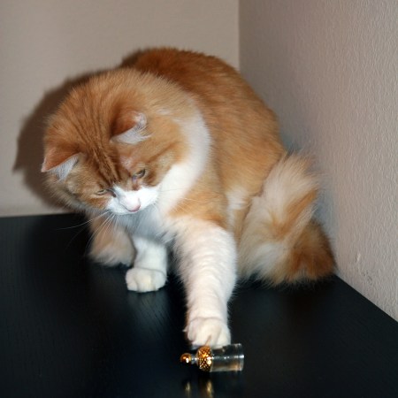 Rusty and Guerlain Pmplelune Rusty and Guerlain Pmplelune