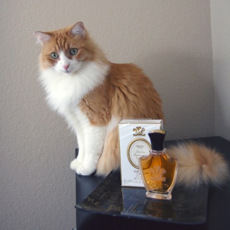 Rusty and Creed Jasmin Imperatrice Eugenie