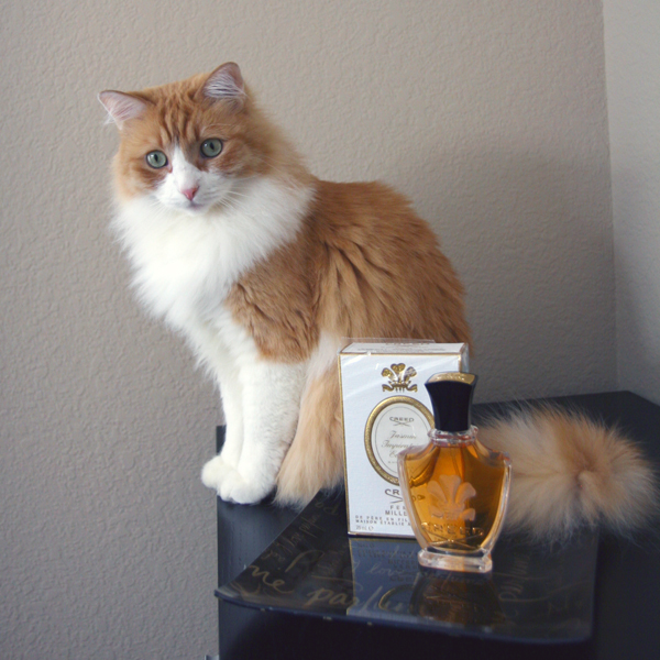 Rusty and Creed Jasmin Imperatrice Eugenie