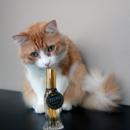 Rusty and Zelda Rusty and Zelda