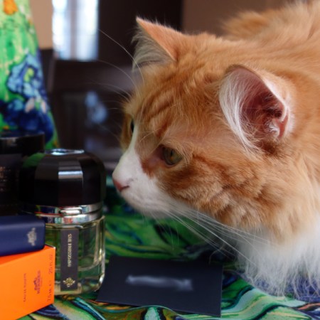 Ramon Monegal Impossible Iris