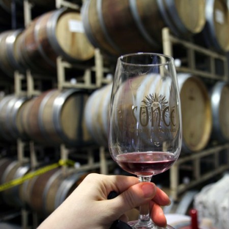 Wine Tasting at Sunce