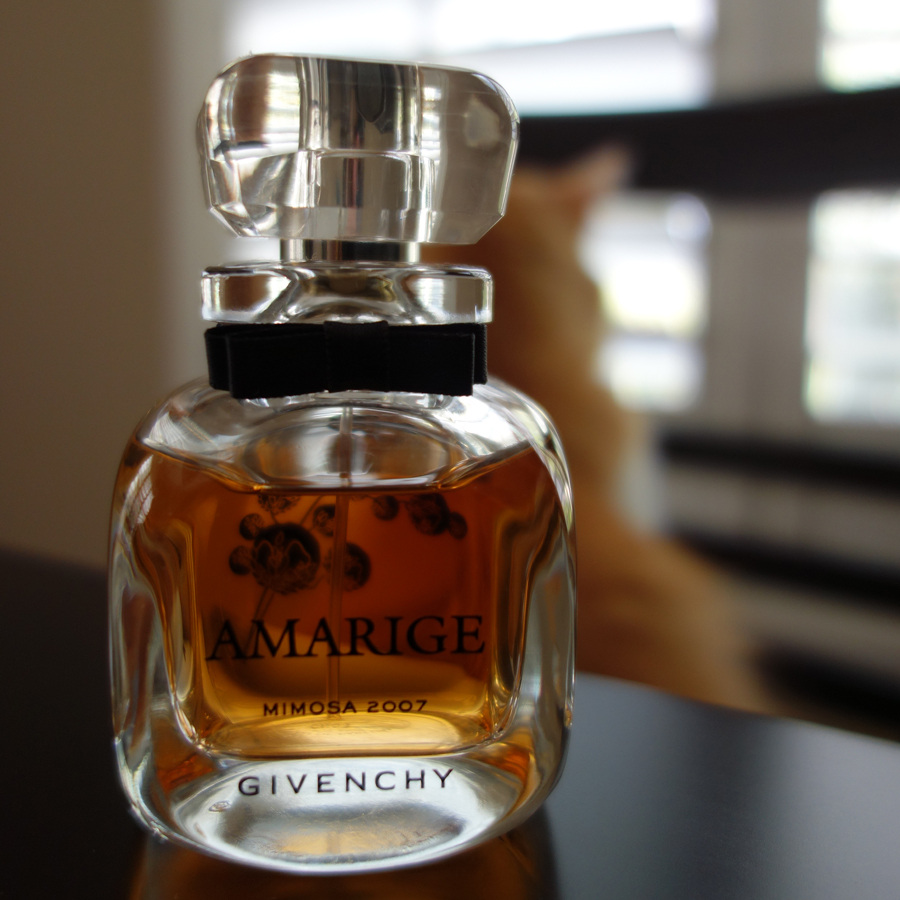 Rusty and Amarige Mimosa 2007