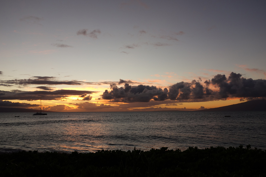 Undina Maui Vacation: Perfumes, Flora & Fauna, Food and Perfumes – Undina's ...